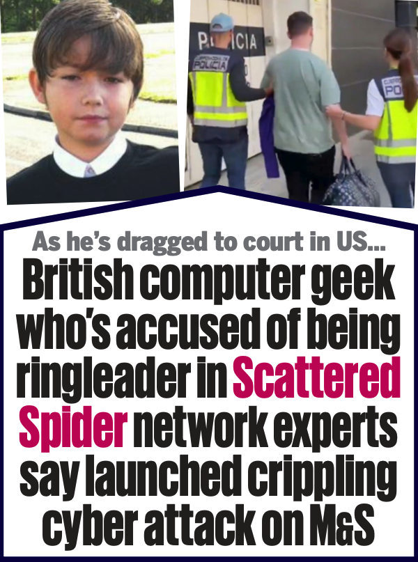 Miembro de 'Scattered Spider' 'Tylerb' se declara culpable