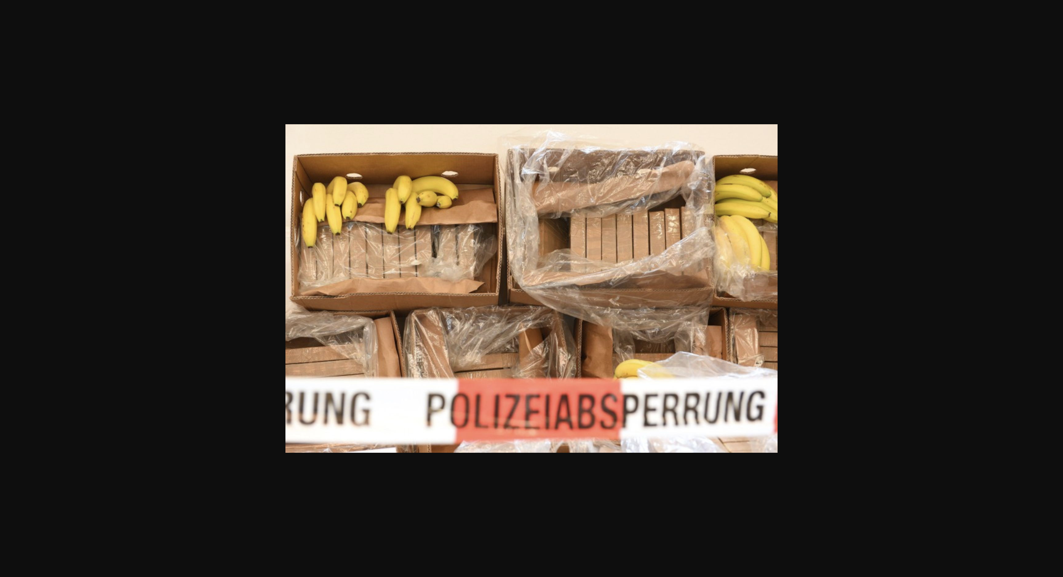 El Cartel de los Balcanes utilizó la compañía de la familia del presidente ecuatoriano para transportar cocaína a Europa.