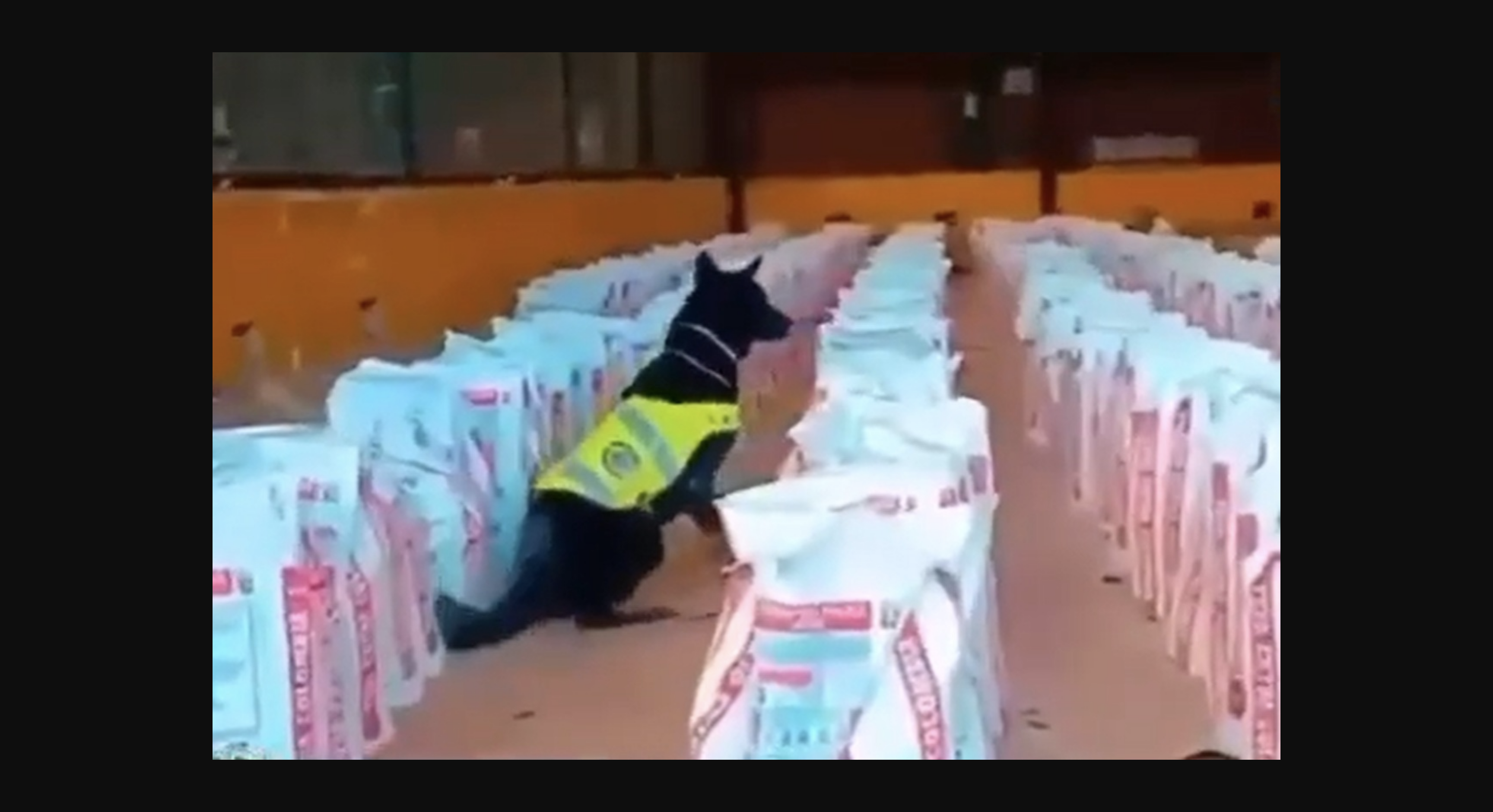 Colombia reporta la mayor confiscación de cocaína en la última década.