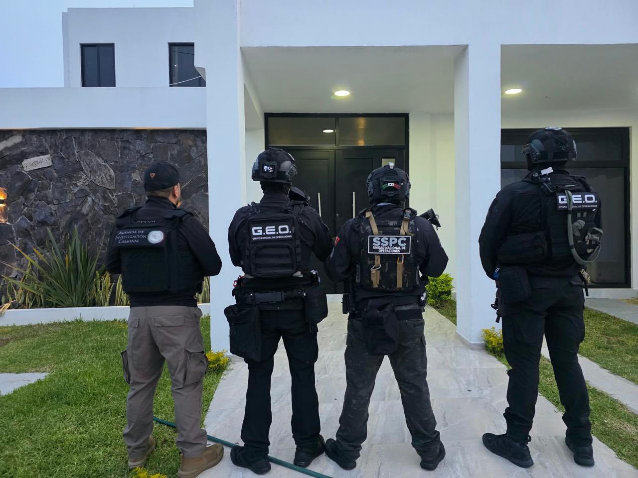 Hallan un tigre blanco y una pantera negra durante una operación contra el Cártel de Jalisco.