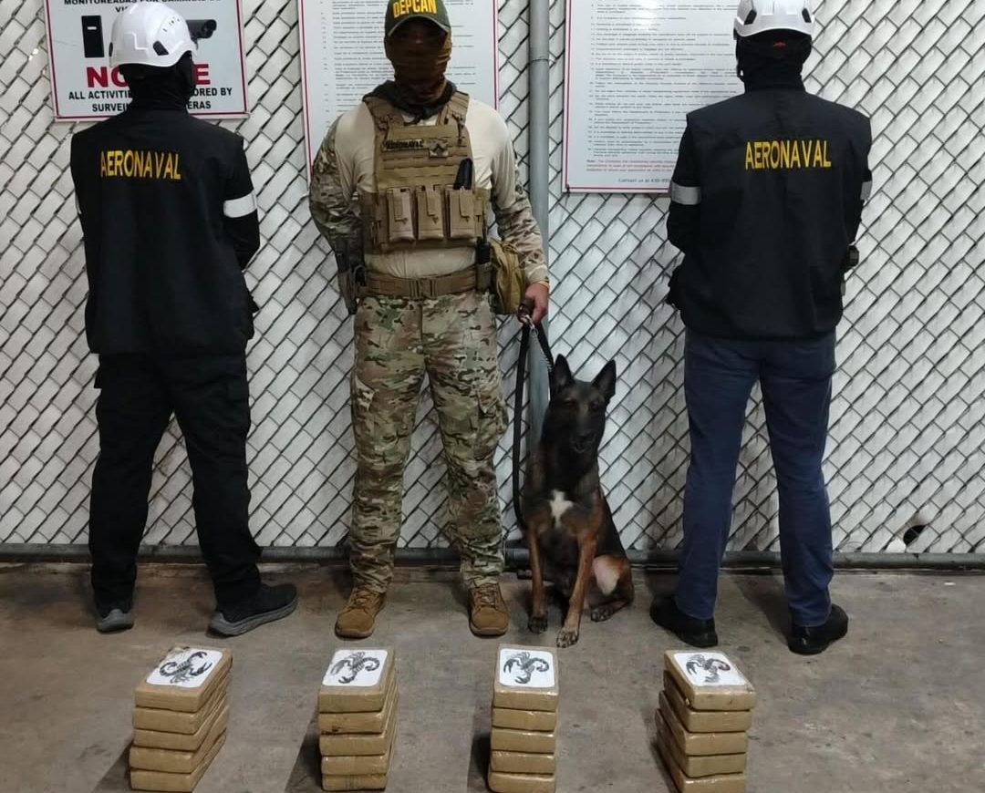 Contenedores: trampa oculta hacia Australia y cargamento en ‘los ojos’ con rumbo a Alemania